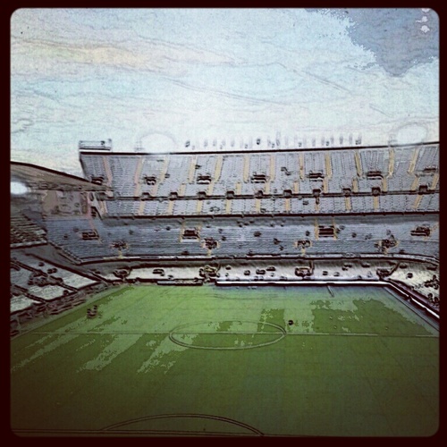 bomoa's profile picture. 