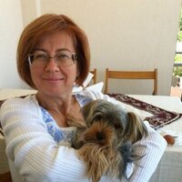 aysun nalbant (@aysunnalbant) Twitter profile photo