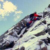 Scottish Winter (@scotwinter) 's Twitter Profile