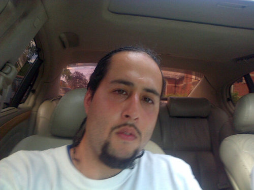 NinoProvolone's profile picture. 