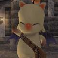 Kupo ?