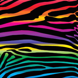 quadajahstewar2's profile picture. 