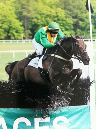 American based, Irish Steeplechase Jockey