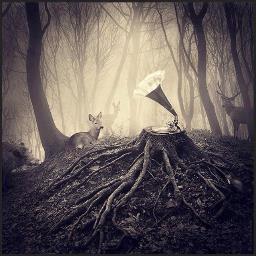 La7en2's profile picture. لـحن البروليتاريا/  



مُكبّر الصوت موجّه إلى الله ، وأنتم هُنا كـ شهود عيان !