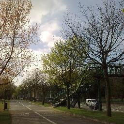 WLossltd's profile picture. Hello world may your days be full of joy and happyness. Live long and prosper http://t.co/jfKV68Ix3H