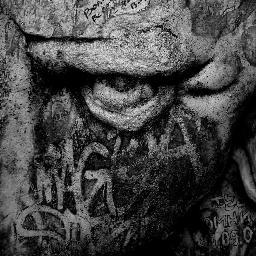 NuevoLeonRec's profile picture. Vinyl Fetishists