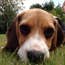 Lucy Marshall - @MabelMarshall - Twitter