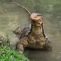 MonitorForum's profile picture. The friendliest monitor community on the internet!