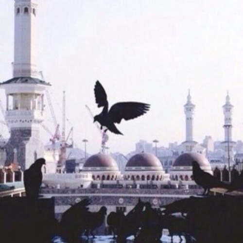 أرجو من الله أن يكون هذا الحساب غيمة
 تمطر حسنات لمن رحلوا في #انفجار_الرياض☔
 اللهم أرحمهم وأغفر لهم وموتى المسلمين.