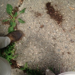 RogerSaylor's profile picture. The sound of one leg walking