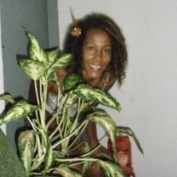 solmarin7's profile picture. orchidées