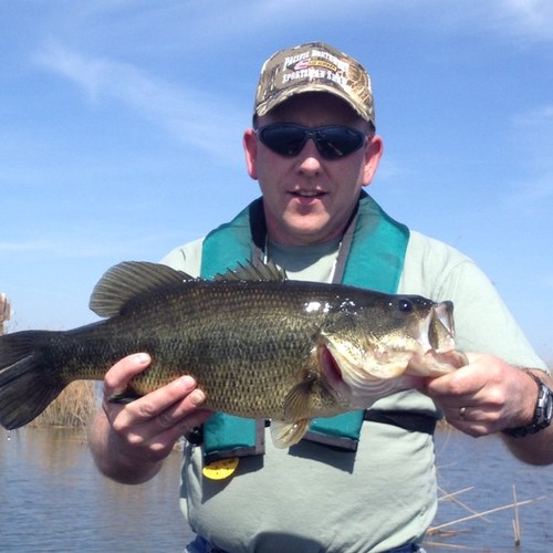 Blazers. Timbers. Seahawks. Oregon Football. Bass Fishing. 
#takeakidfishing
