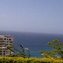 Odalis Guzman - @GuzmanOda - Twitter