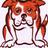 saltydogtrainer's profile image