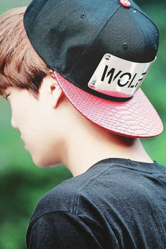 ' EXOSTAN • LU HAN '
