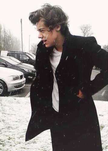 thebullystyles's profile picture. so many things i need to tell you @ShyKidLouis but I never will i'm not strong enough never will be / in high school I'm a jerk