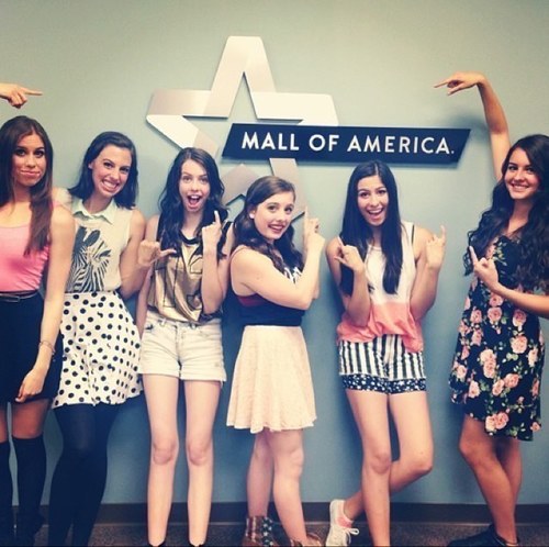 Hey, I'm just a girl trying to succeed my life goal and meet the BEST girl band ever created: @Cimorelliband. #CimFam for life. 2/7 Follows.