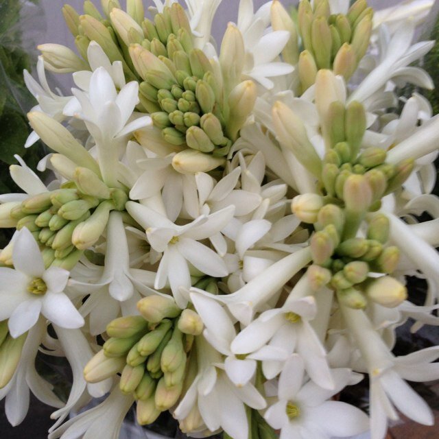 DDProduce's profile picture. Fresh organically grown produce from the historic heritage valley, Ventura county, ca