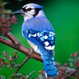 hemak_k Profile Picture