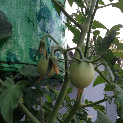 Dougethug's profile picture. I fish, therefore I am! 🎣