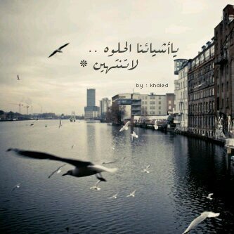 الخاص ممنوع