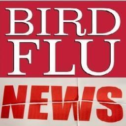 Collect and send bird flu news. Please retweet the news to your friends for their safety.