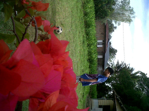 O buat llo !