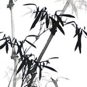 Frederick Wu - @624457010 - Twitter