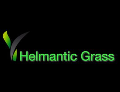 helmanticgrass's profile picture. 