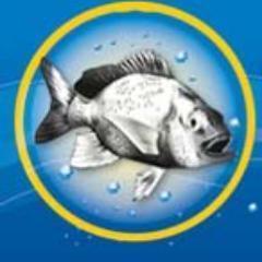 fishingmallbg's profile picture. 