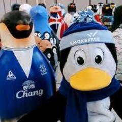 danu_93's profile picture. Everton FC