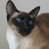 michiel schweitzer (@michiel043) 's Twitter Profile