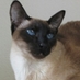 michiel schweitzer (@michiel043) Twitter profile photo