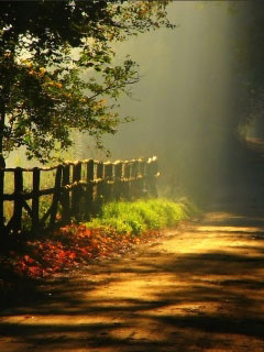 here only for #Followback team
original account @pedal_india