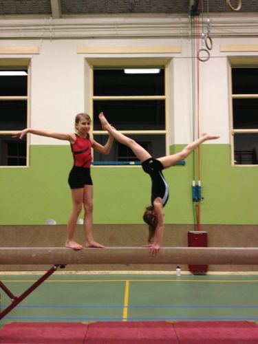excelsiorturnen's profile picture. S.V. Excelsior Achterberg is een gymnastiekvereniging met een peuter/kleuter-recreatie-trampoline-volwassen groep en selectie turnen.