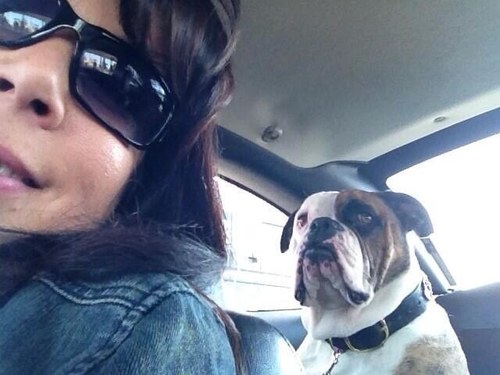 Animals are my passion, especially my Bulldogges Charliee Starr & Codeigh Canada along with 3 feline's:) Music is what keeps me sane!!! ~Minnesota