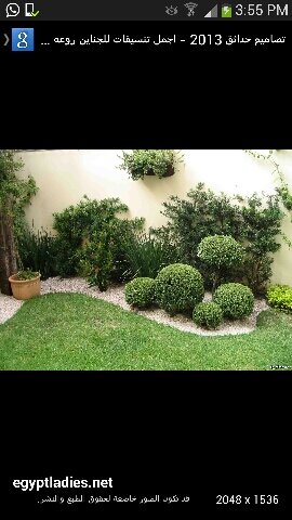 aziz77799's profile picture. 