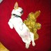 dutchy (@paulpholland) Twitter profile photo