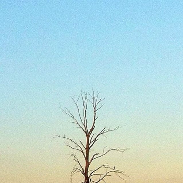 the lost but never found