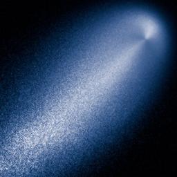 CIOCISON's profile picture. 