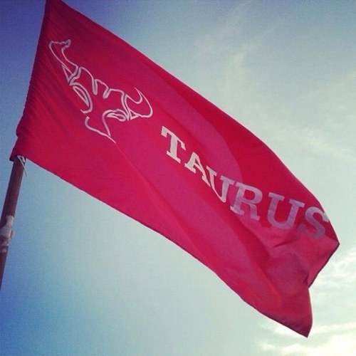 TaurusIJC Profile Picture