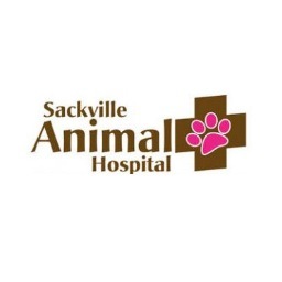 At Sackville Animal Hospital we are a full service veterinary clinic, providing all the services to help you care for your pets’ well being.