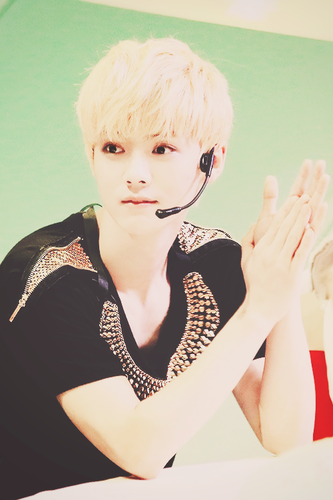 parody of xi luhan