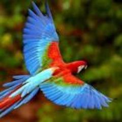 venchic2's profile picture. 