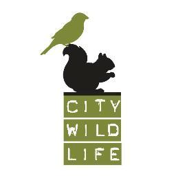 DCCityWildlife Profile Picture