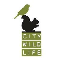 City Wildlife(@DCCityWildlife) 's Twitter Profile Photo