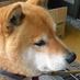 Shibajohn (@shibajohn1982) Twitter profile photo Shibajohn (@shibajohn1982) Twitter profile photo