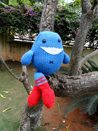 reetan_obz's profile picture. 로빈 시크 새 앨범 나왔다.