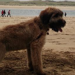 Dog lover, beach comber, art & crafts crazy, vintage wannabe, love learning, love cornwall, big foodie, assistant manager & window dresser by day.