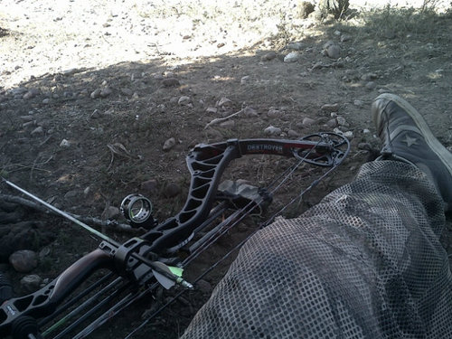 stephvisr's profile picture. My journey as a outdoors fanatic. Bow hunting is my passion.